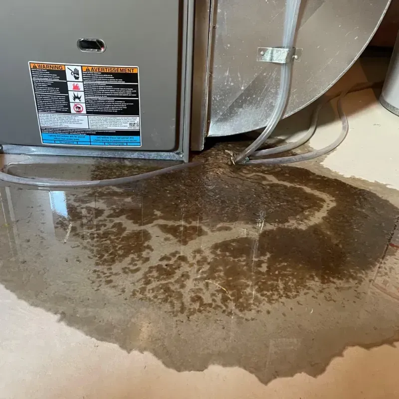 Appliance Leak Cleanup in Pineville, MO